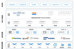 臨床大數(shù)據(jù)的醫(yī)院級(jí)數(shù)據(jù)處理 應(yīng)用基石與變現(xiàn)前奏