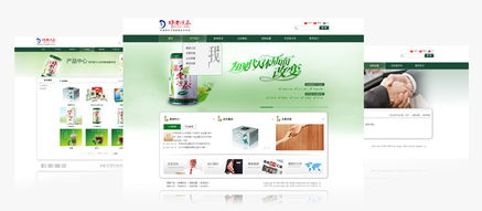 品牌網站建設 以創意網頁設計鑄就數字時代新名片
